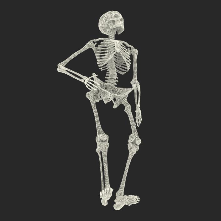 3D Human Female Skeleton Pose 2 model