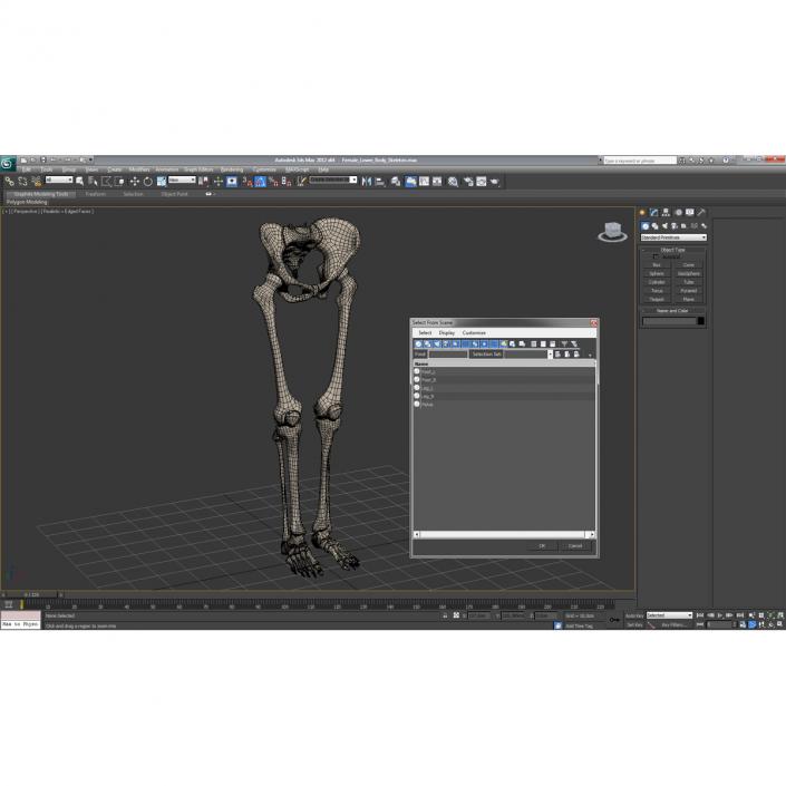 3D Female Lower Body Skeleton