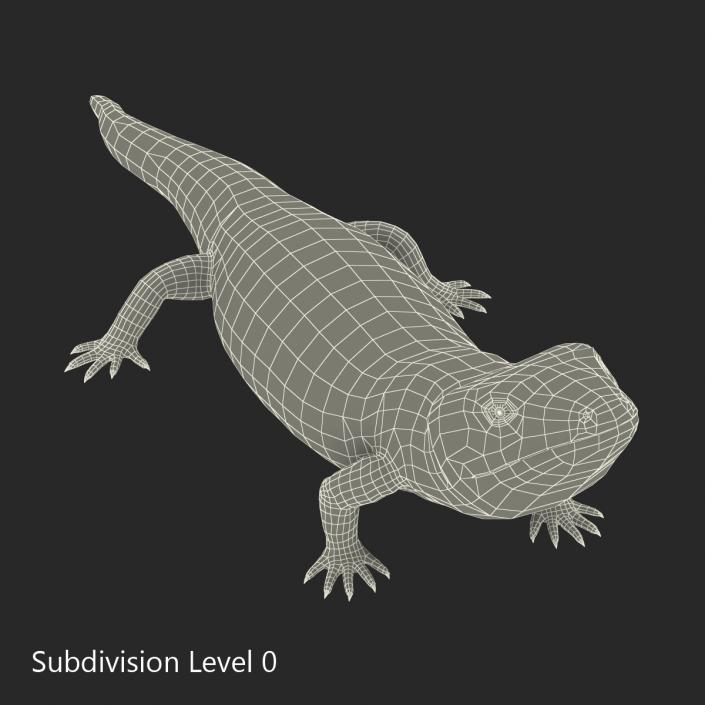 3D model Blue Tongued Skink Pose 3