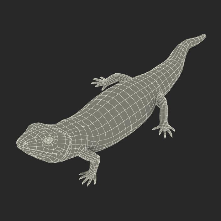 3D model Blue Tongued Skink Pose 3