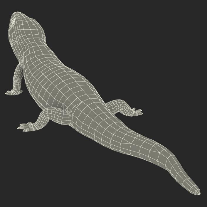 3D model Blue Tongued Skink Pose 3