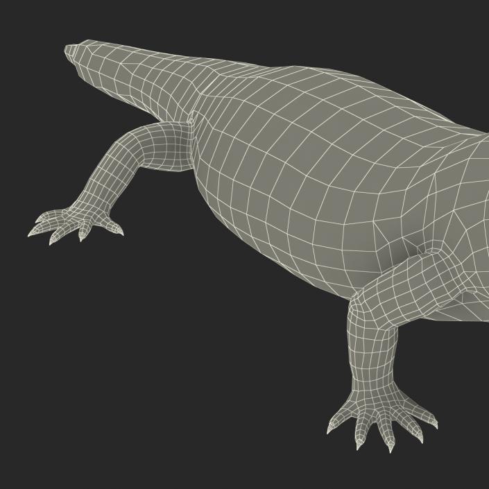 3D model Blue Tongued Skink Pose 3