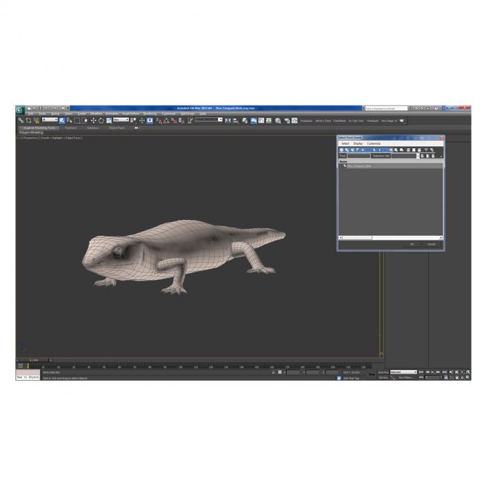 3D Blue Tongued Skink model