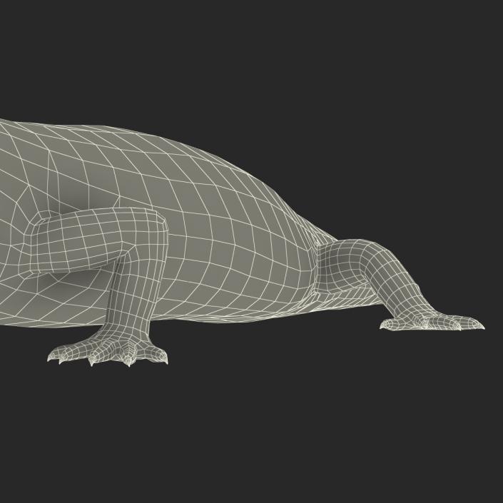 3D Blue Tongued Skink model