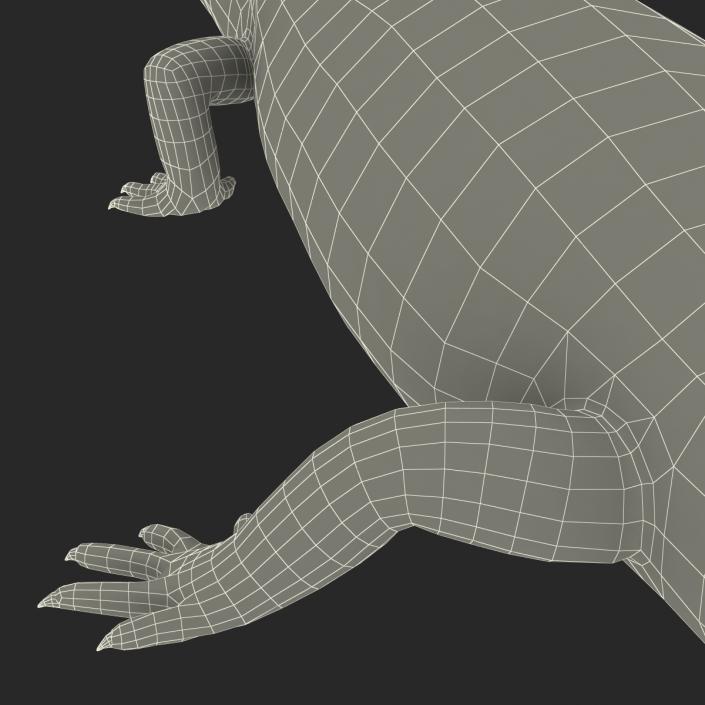 3D Blue Tongued Skink model