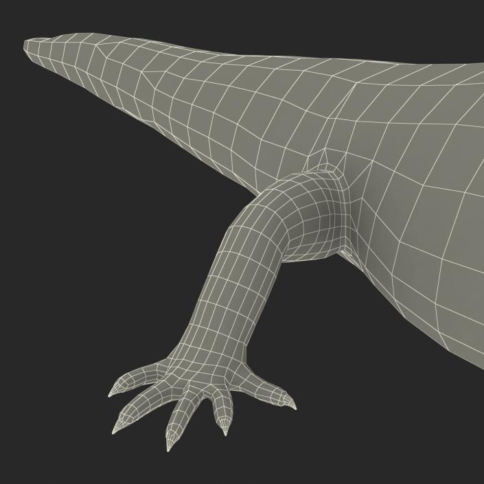 3D Blue Tongued Skink model