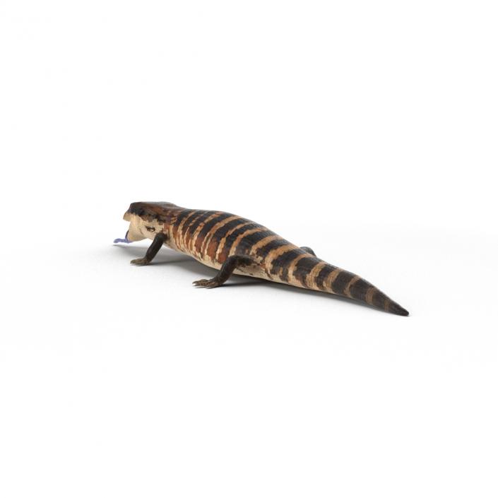 3D model Blue Tongued Skink Pose 4