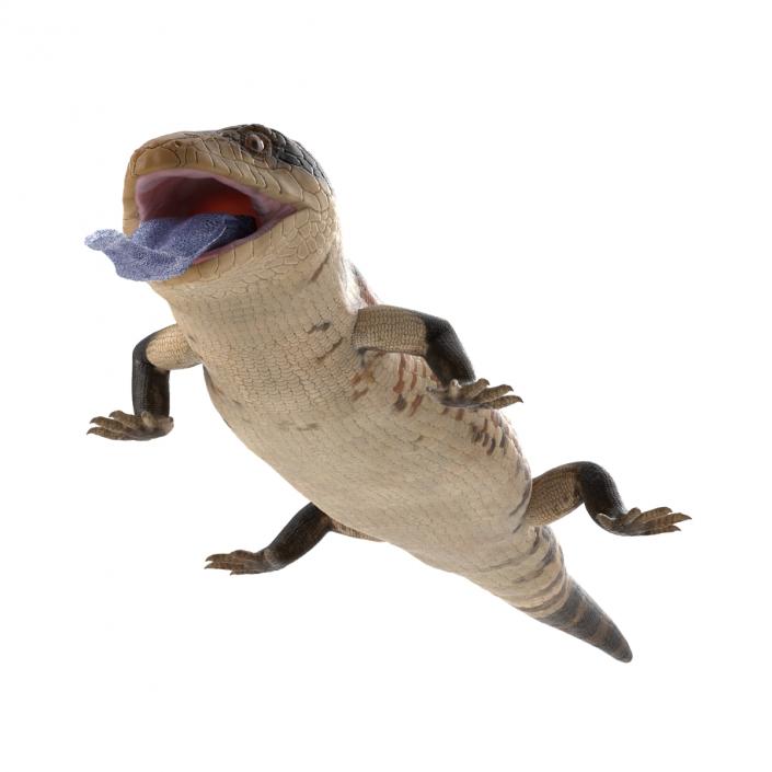 3D model Blue Tongued Skink Pose 4