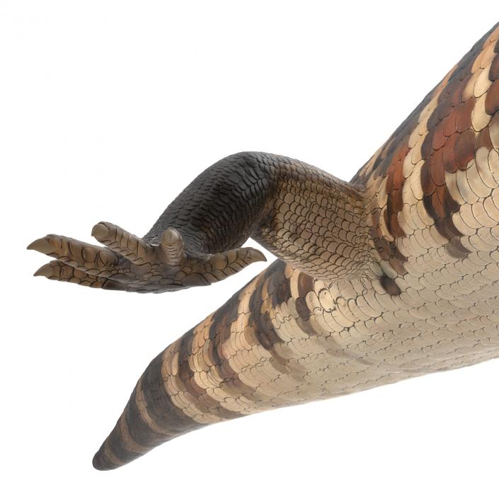 3D model Blue Tongued Skink Pose 4