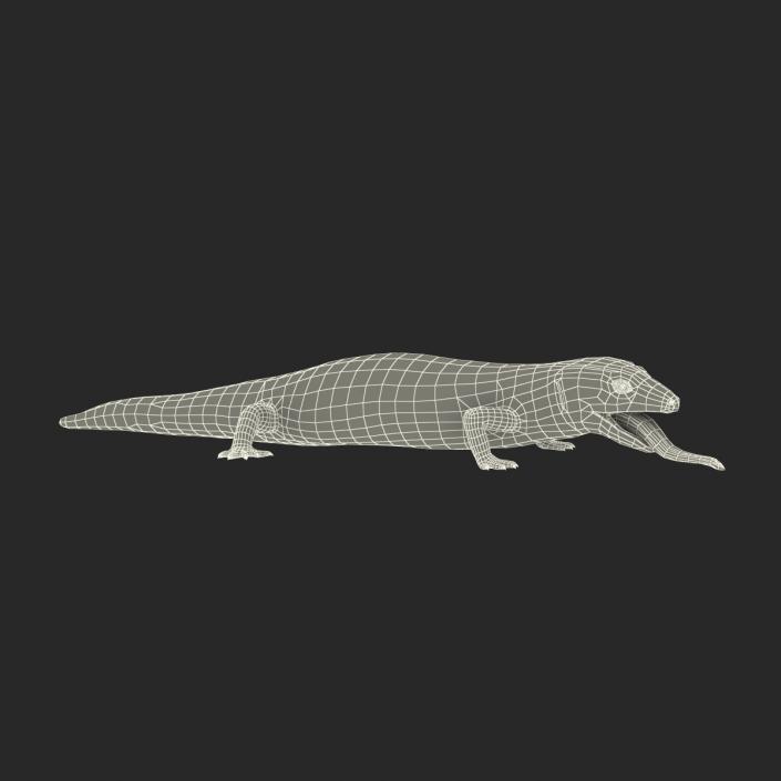 3D model Blue Tongued Skink Pose 4