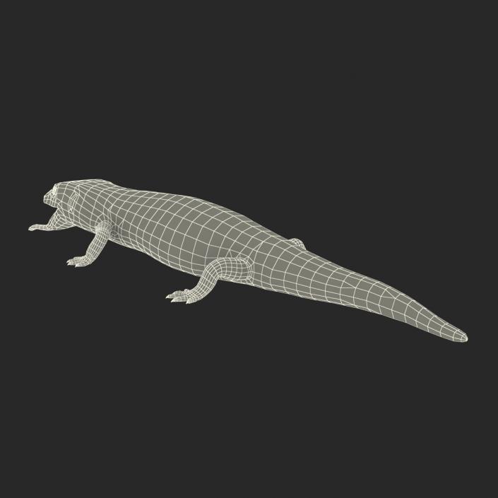 3D model Blue Tongued Skink Pose 4