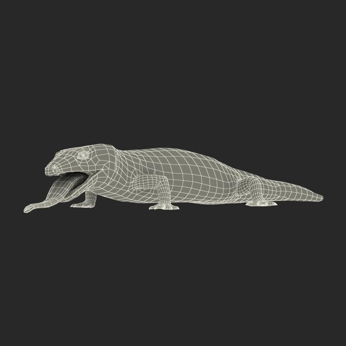 3D model Blue Tongued Skink Pose 4