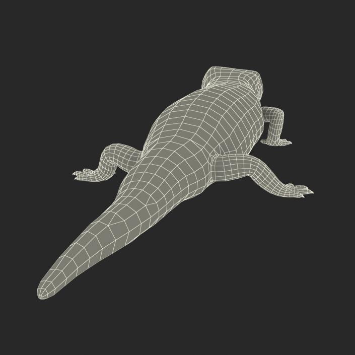 3D model Blue Tongued Skink Pose 4