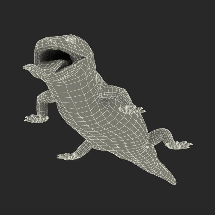 3D model Blue Tongued Skink Pose 4