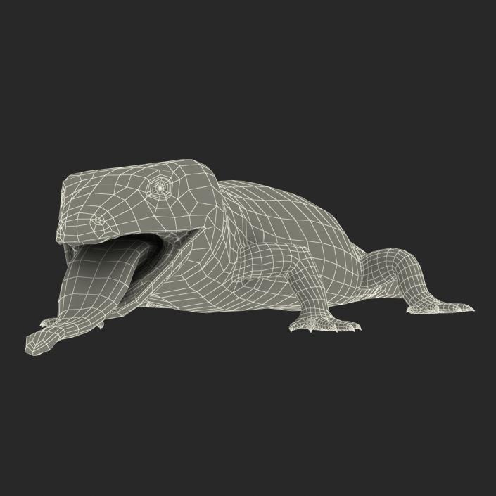 3D model Blue Tongued Skink Pose 4