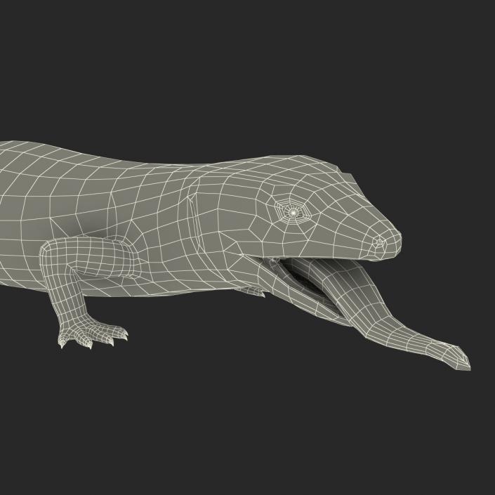 3D model Blue Tongued Skink Pose 4