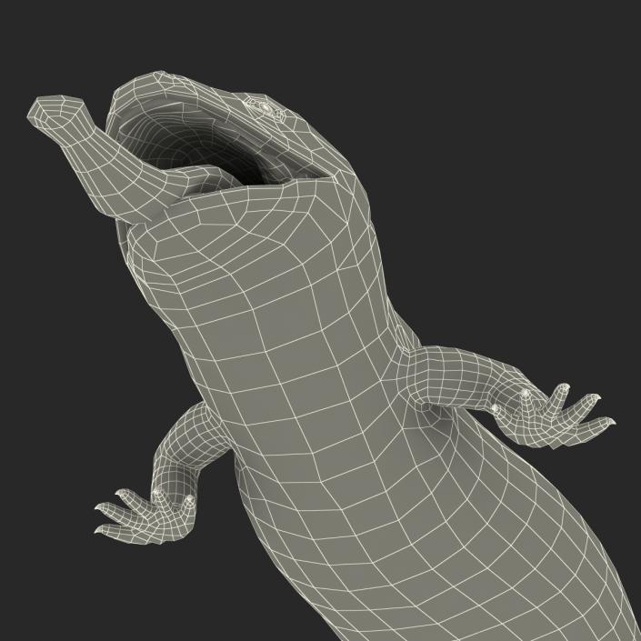 3D model Blue Tongued Skink Pose 4