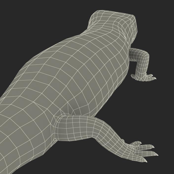 3D model Blue Tongued Skink Pose 4