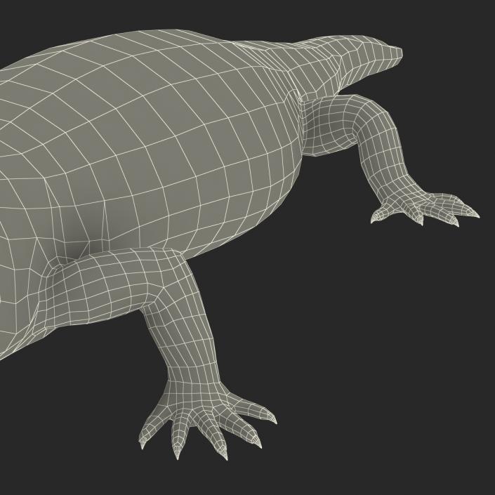 3D model Blue Tongued Skink Pose 4