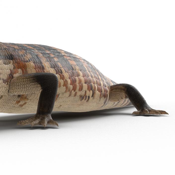 3D model Blue Tongued Skink Rigged