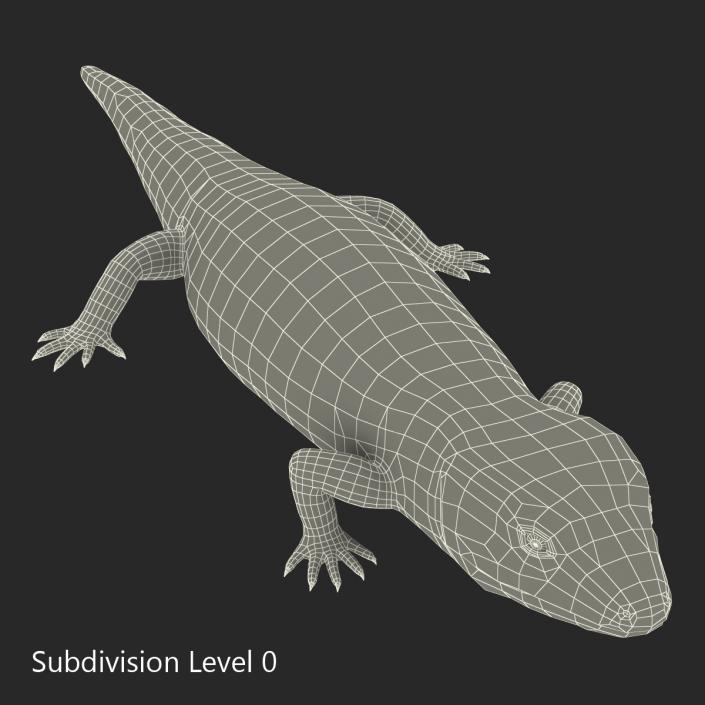 3D model Blue Tongued Skink Rigged