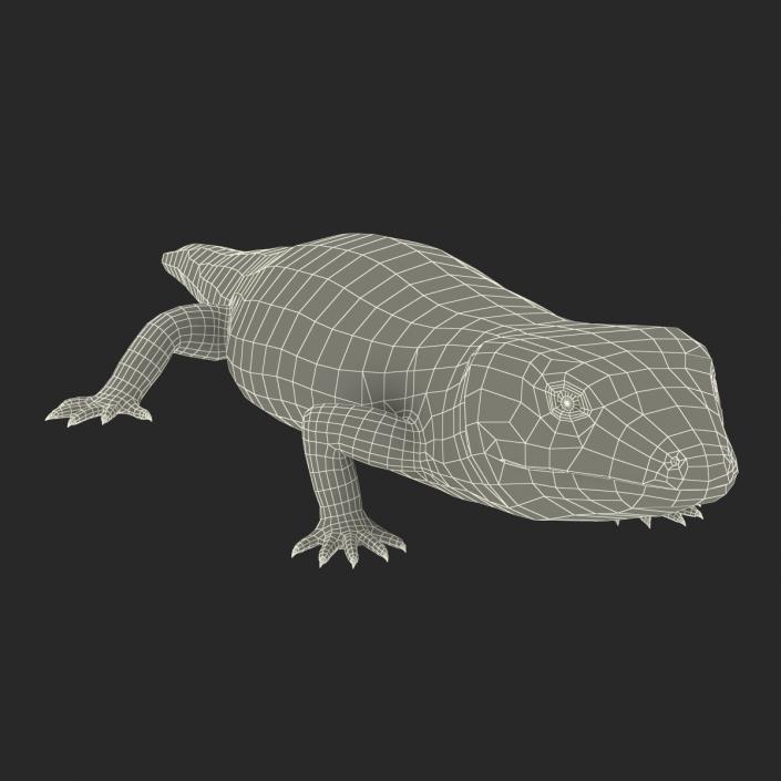 3D model Blue Tongued Skink Rigged