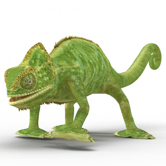 3D Chameleon Rigged