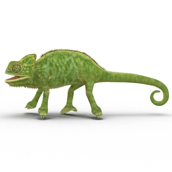 3D Chameleon Rigged