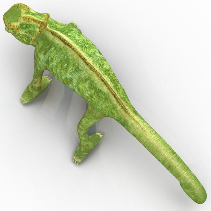 3D Chameleon Rigged