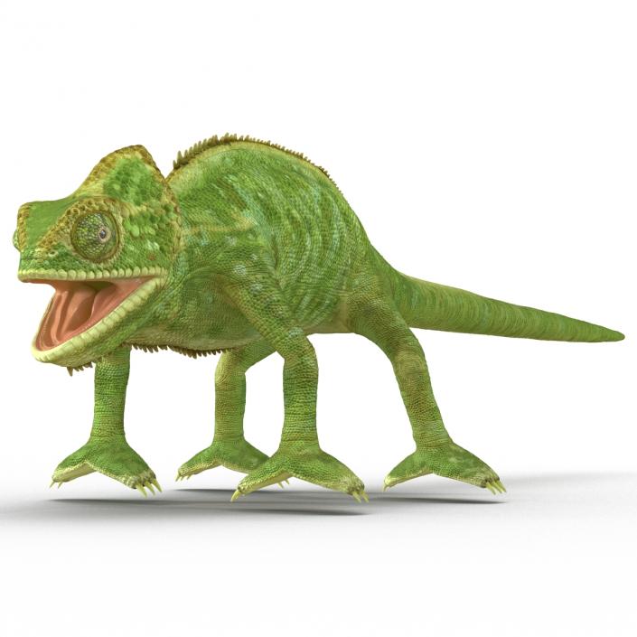 3D Chameleon Rigged