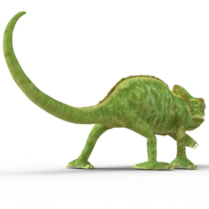 3D Chameleon Rigged