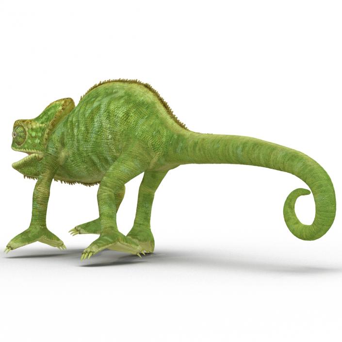 3D Chameleon Rigged