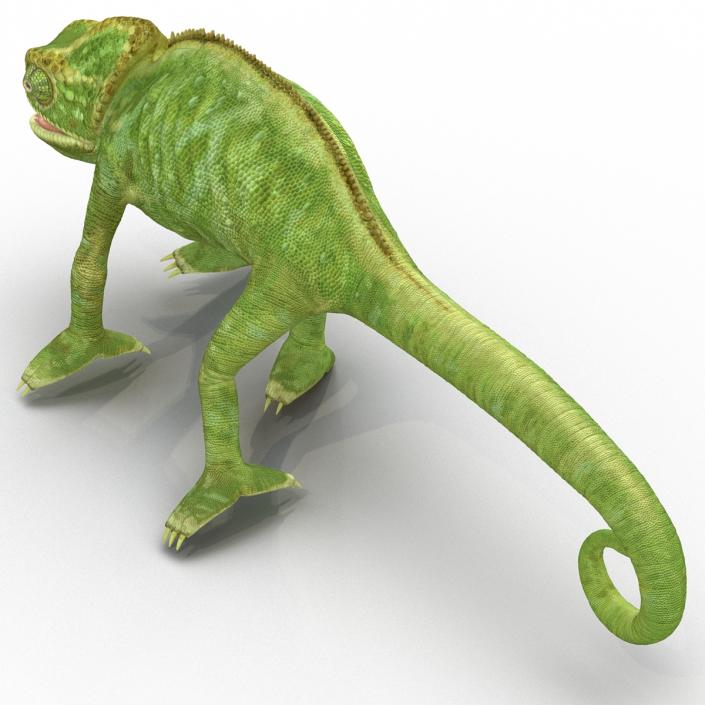 3D Chameleon Rigged