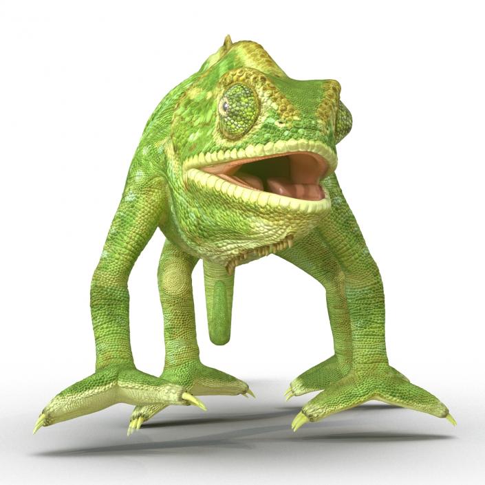 3D Chameleon Rigged