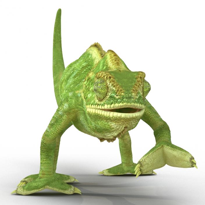 3D Chameleon Rigged