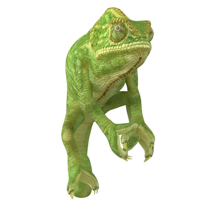 3D Chameleon Rigged