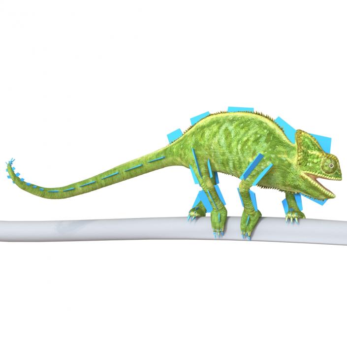 3D Chameleon Rigged