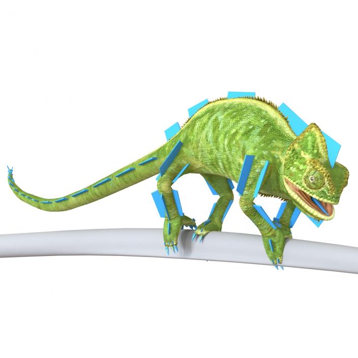 3D Chameleon Rigged