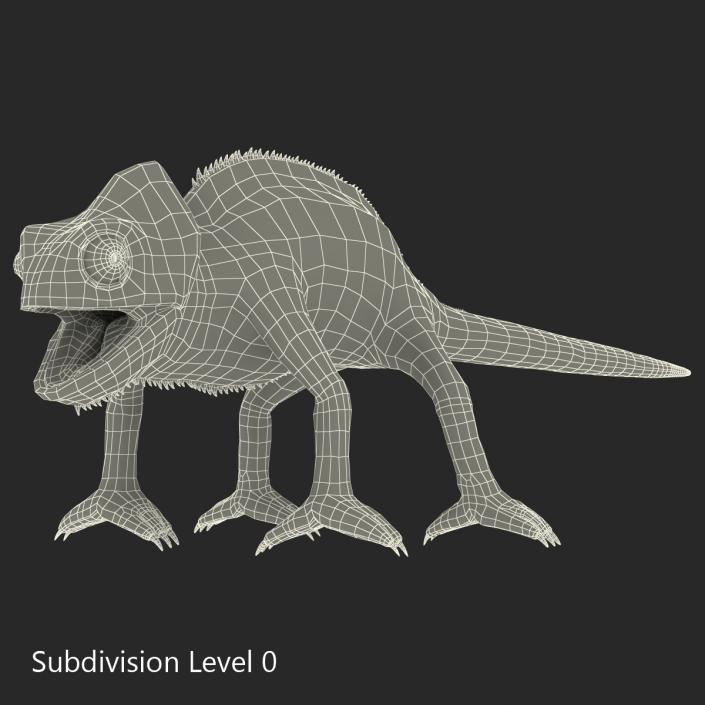 3D Chameleon Rigged