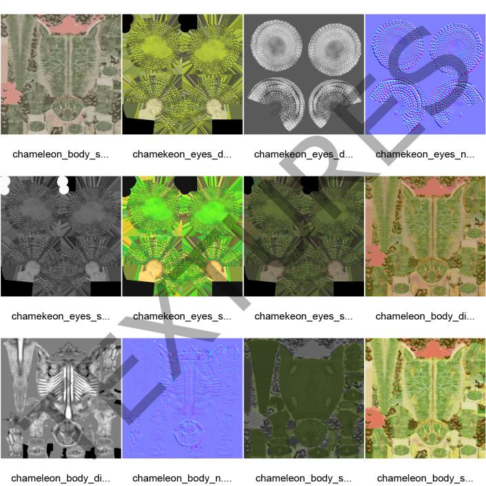 3D Chameleon Rigged