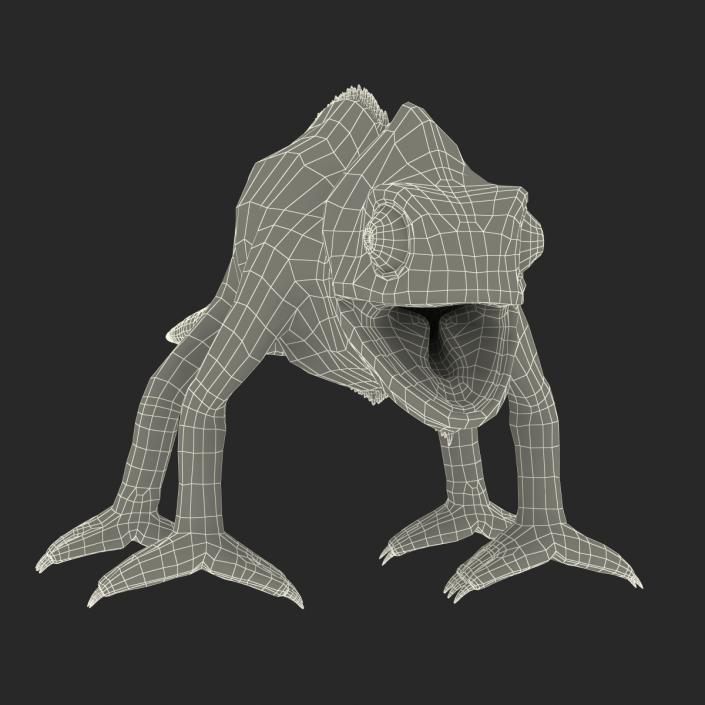 3D Chameleon Rigged