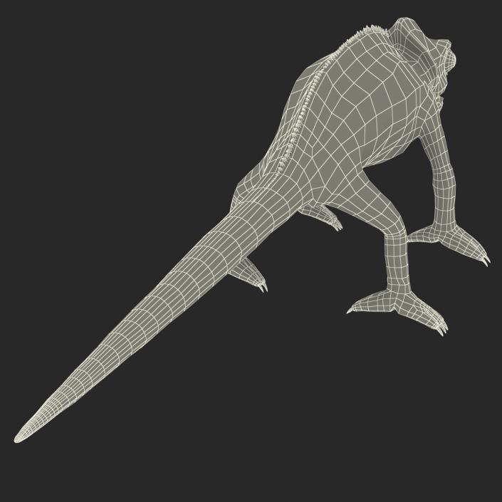 3D Chameleon Rigged