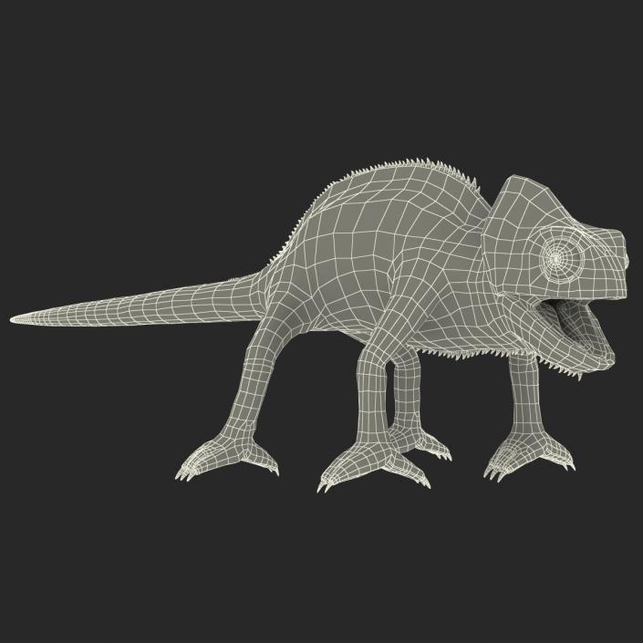 3D Chameleon Rigged