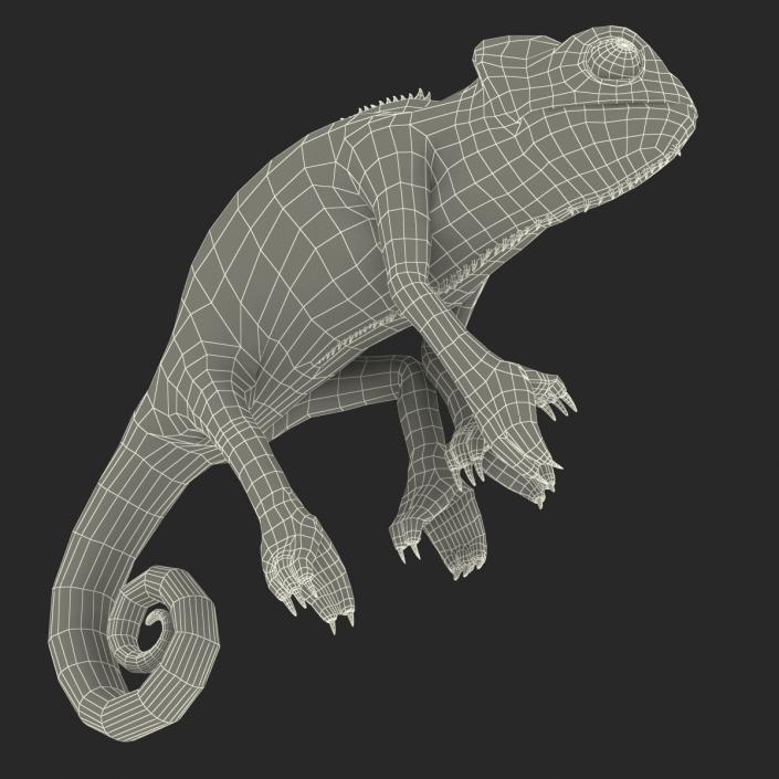 3D Chameleon Rigged