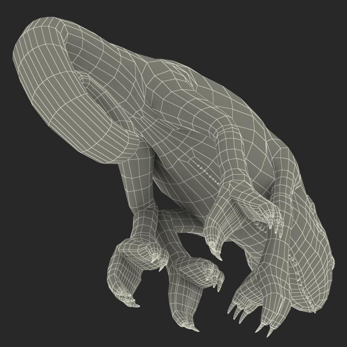 3D Chameleon Rigged