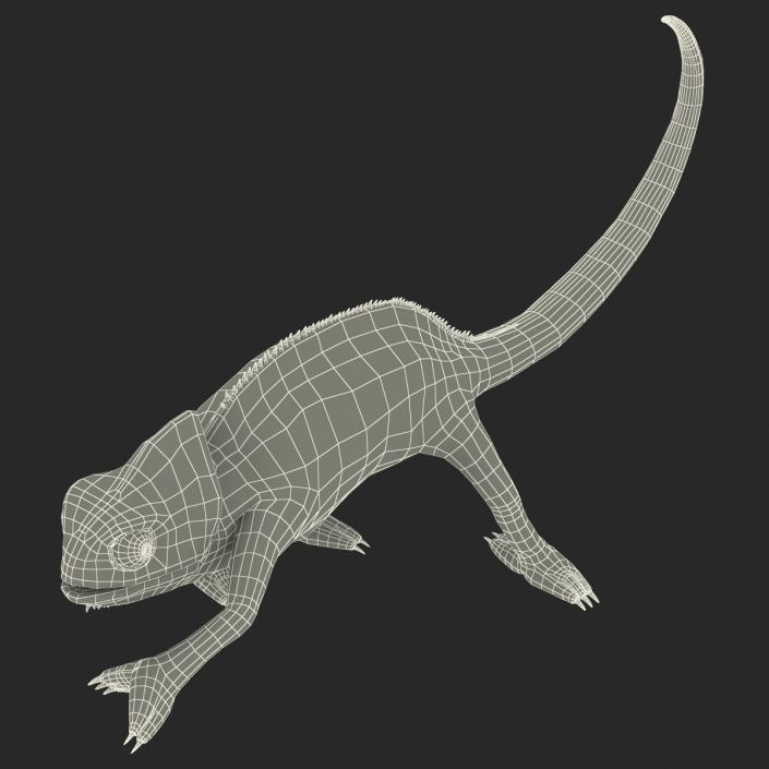 3D Chameleon Rigged