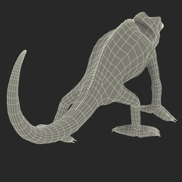 3D Chameleon Rigged