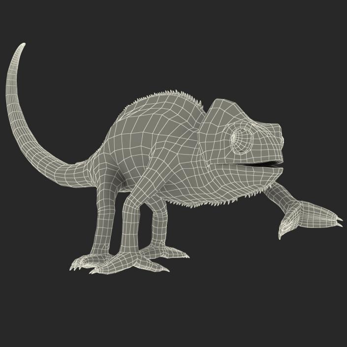 3D Chameleon Rigged