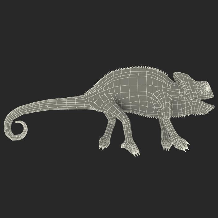 3D Chameleon Rigged