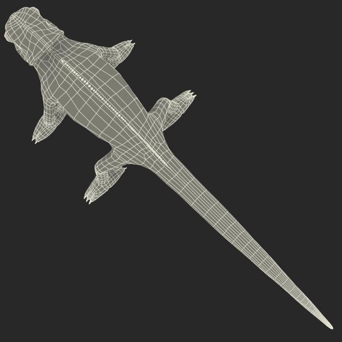 3D Chameleon Rigged